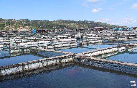 德瑞亞空壓機(jī)助力淡水養(yǎng)殖，營(yíng)造和諧水產(chǎn)市場(chǎng)