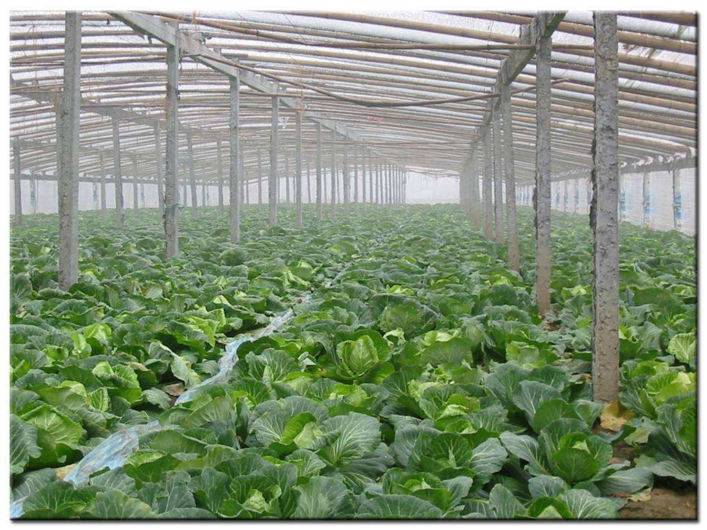 德瑞亞空壓機助力食品加工，節(jié)能無止盡